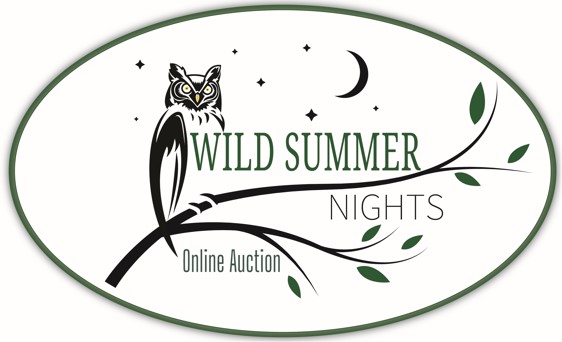 Small%20auction%20logo.jpg